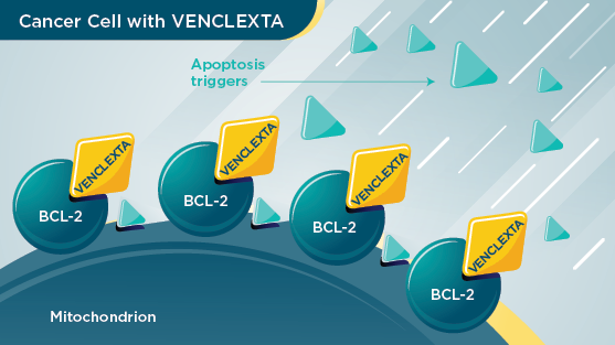 Venclexta cell